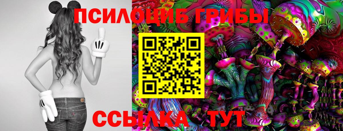 Галлюциногенные грибы мицелий  Вход с VPN  Ковров  Галлюциногенные грибы мухоморы 